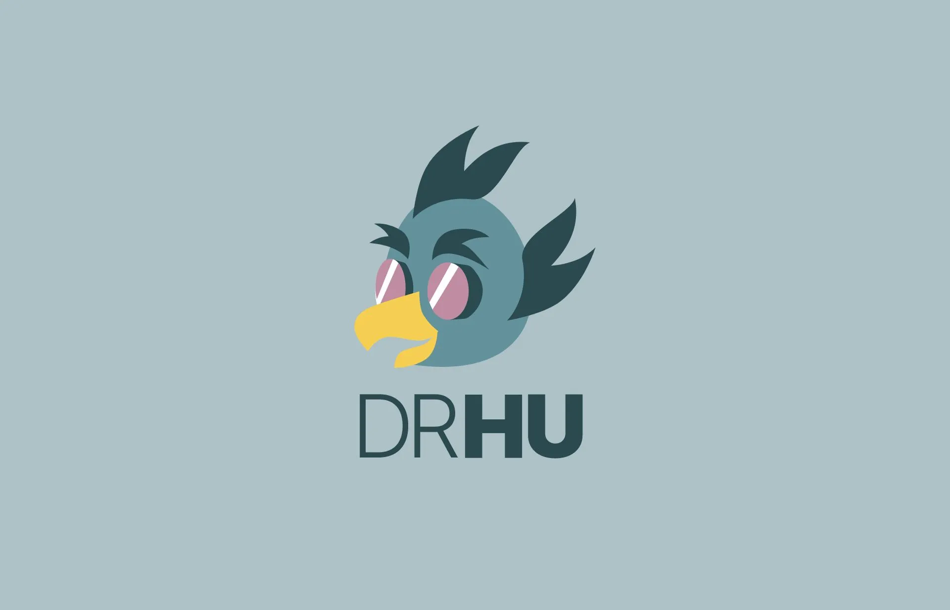 DR.HU Logo